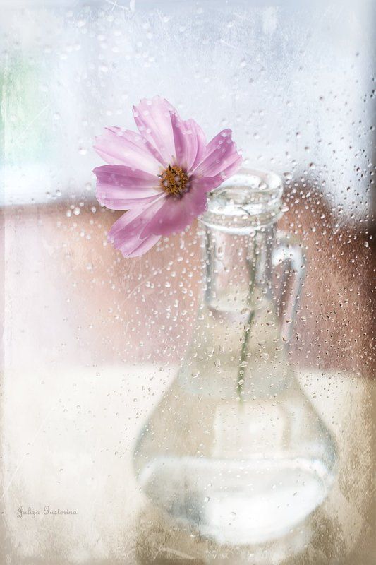 последние космеиphoto preview