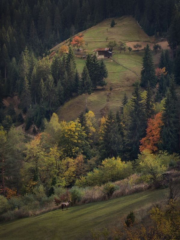 Есенен следобедphoto preview