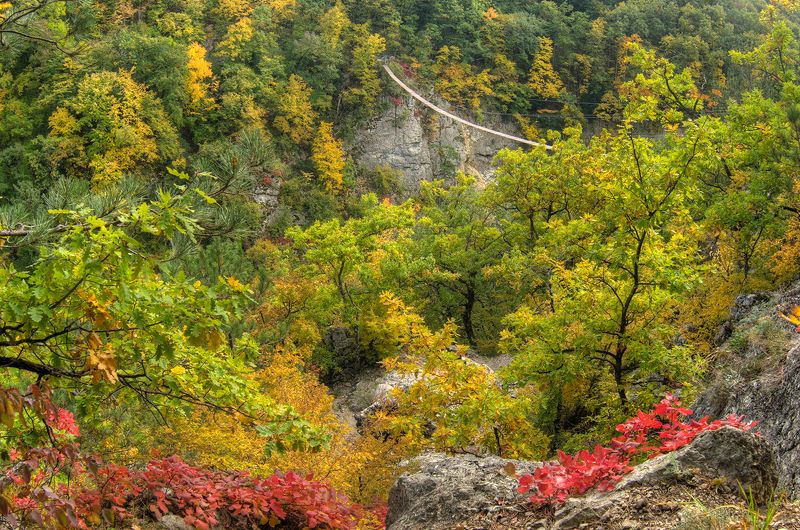 Осень в Крымуphoto preview