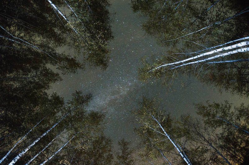 звезды, тула, тульская область, кондуки, астрофото, лес, террикон, выработка, гора Звёздное небо. Кондуки. Тульская область. фото превью