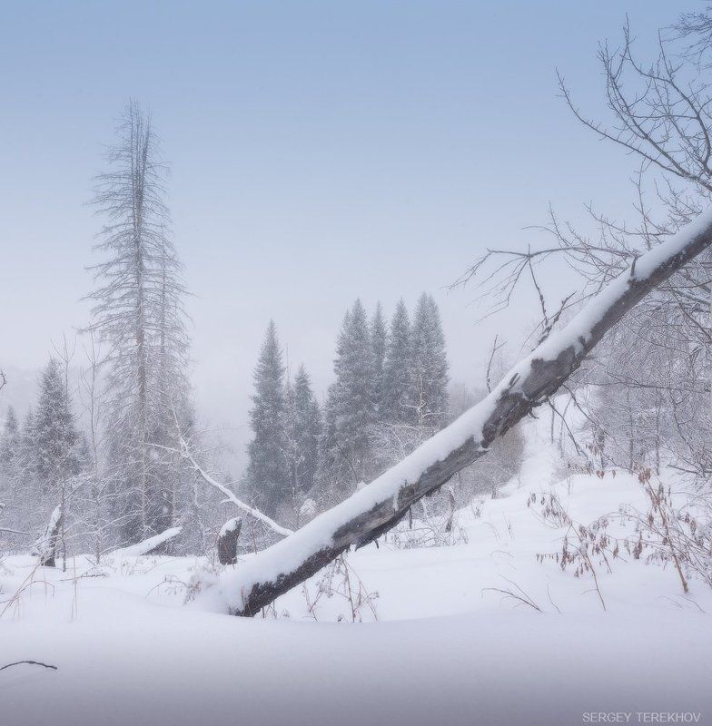 Заилийские Алатау, Казахстан, Тропа на Кок Жайляу, Тянь-шань, Фотографии Казахстана Зима еще не пришлаphoto preview
