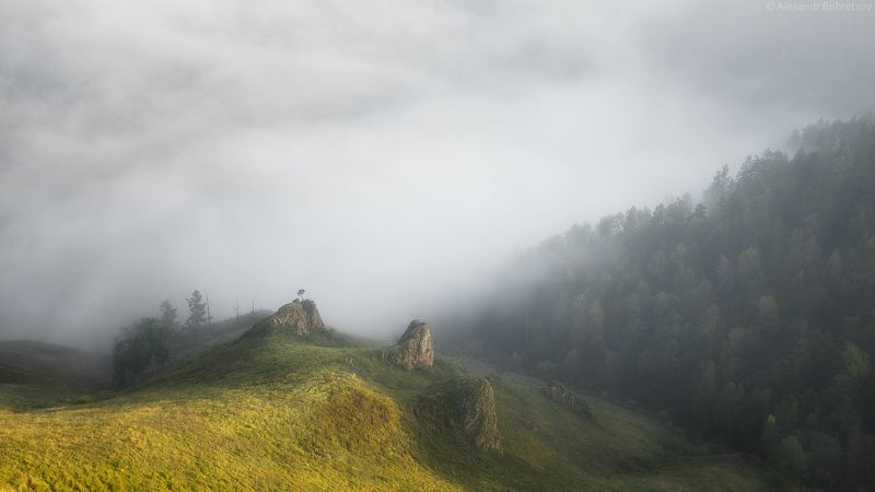 Стоблы ***photo preview