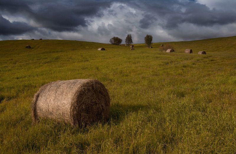 Небо осенью дышало...photo preview