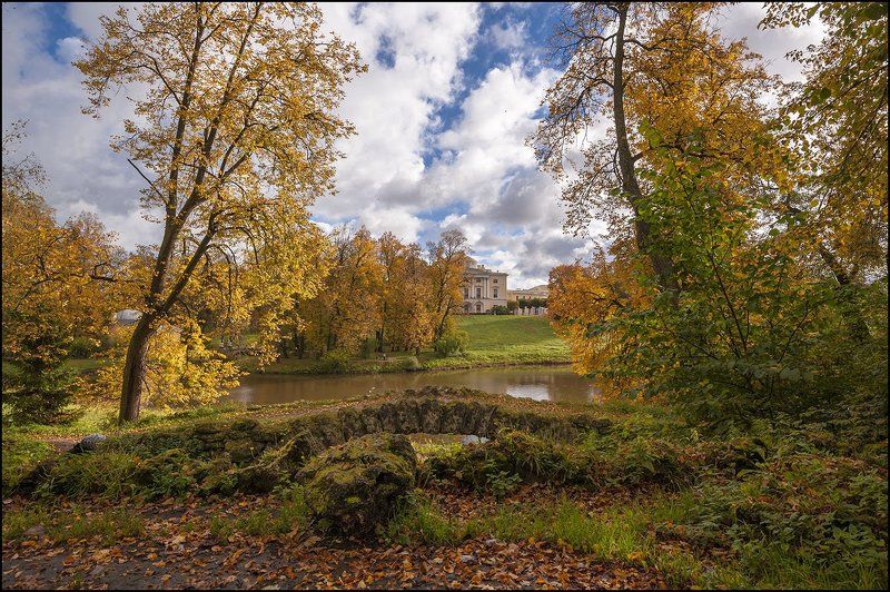 Павловск парк осень октябрь photo preview