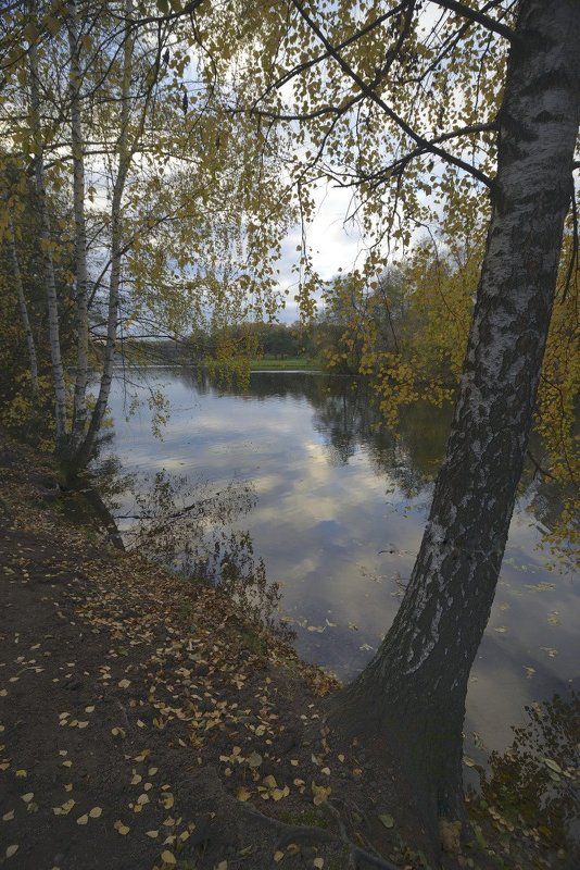 Осенний парк фото превью