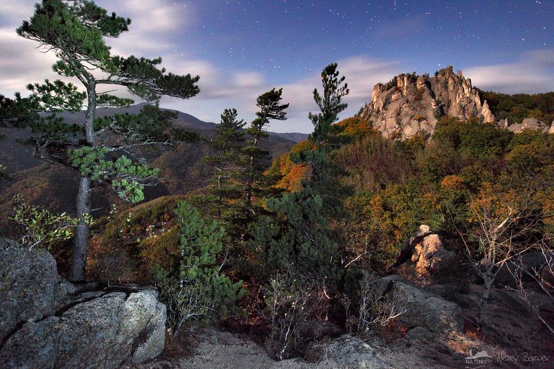 дальнийвосток, ночь, сихотеалинь, Крадущийся тигр, затаившийся драконphoto preview