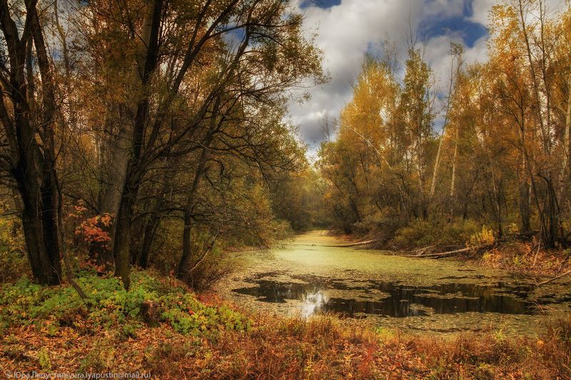 Осень, Природа ***photo preview