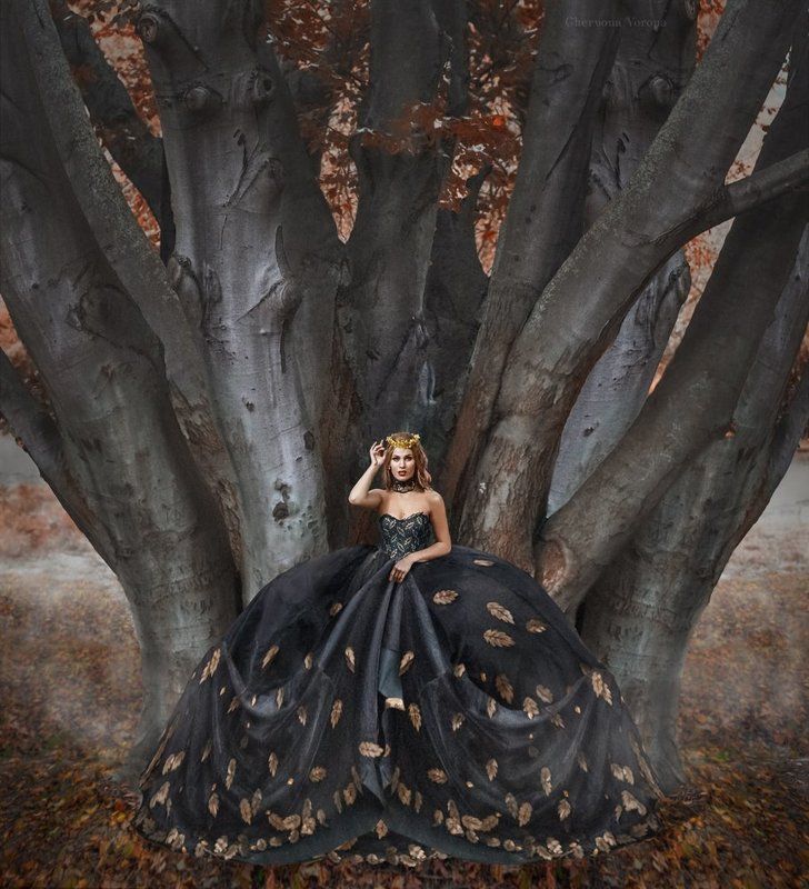 fineart *photo preview