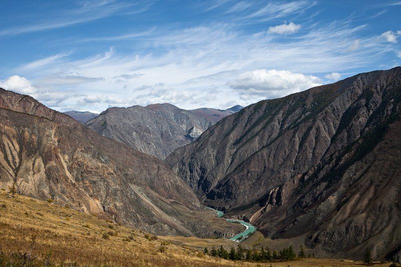 Аргут.photo preview