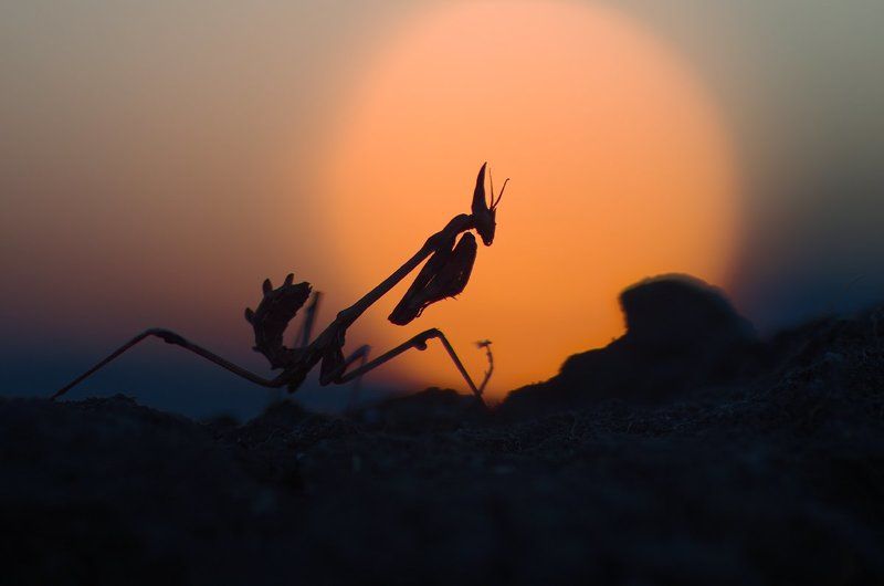 и будет вечером...photo preview