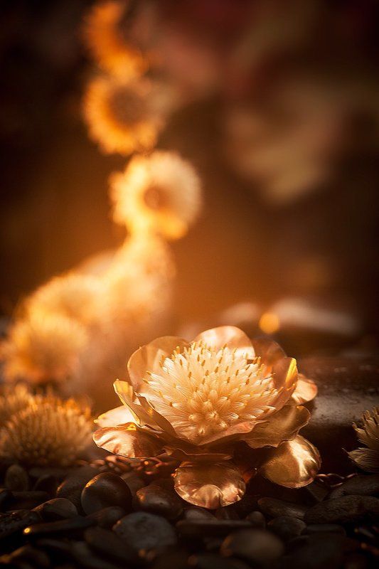 International Floral Art 2016-2017photo preview