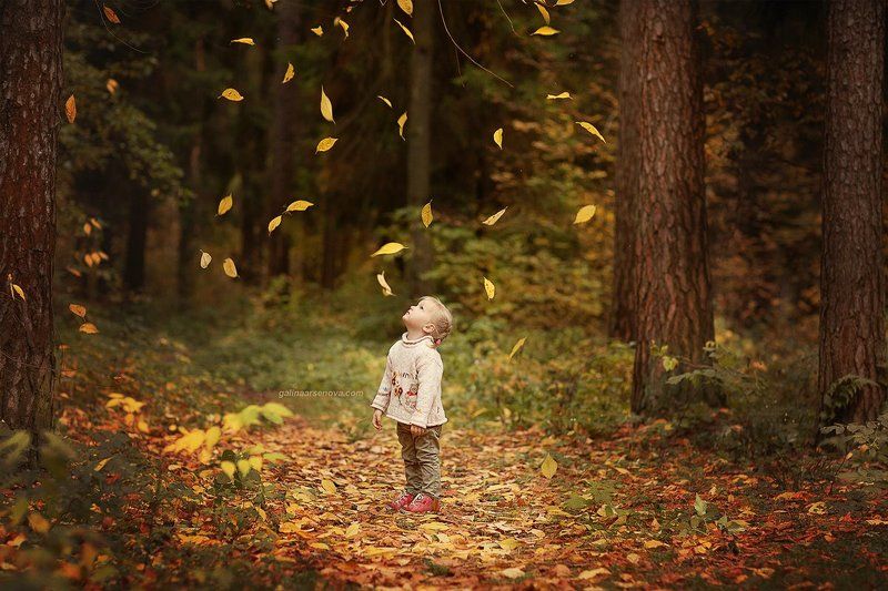 Листопадphoto preview