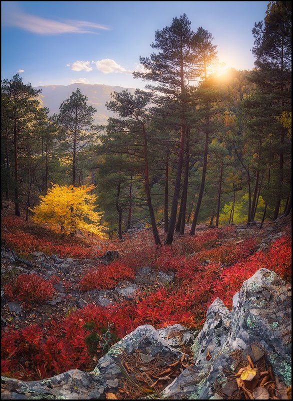 Яркие краски осеннего Архызаphoto preview