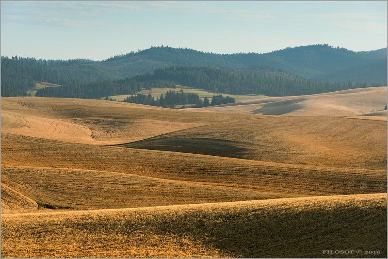 По холмам, как по волнам…photo preview