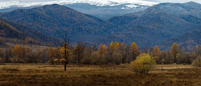 Алтай Дорогами Чуйского трактаphoto preview