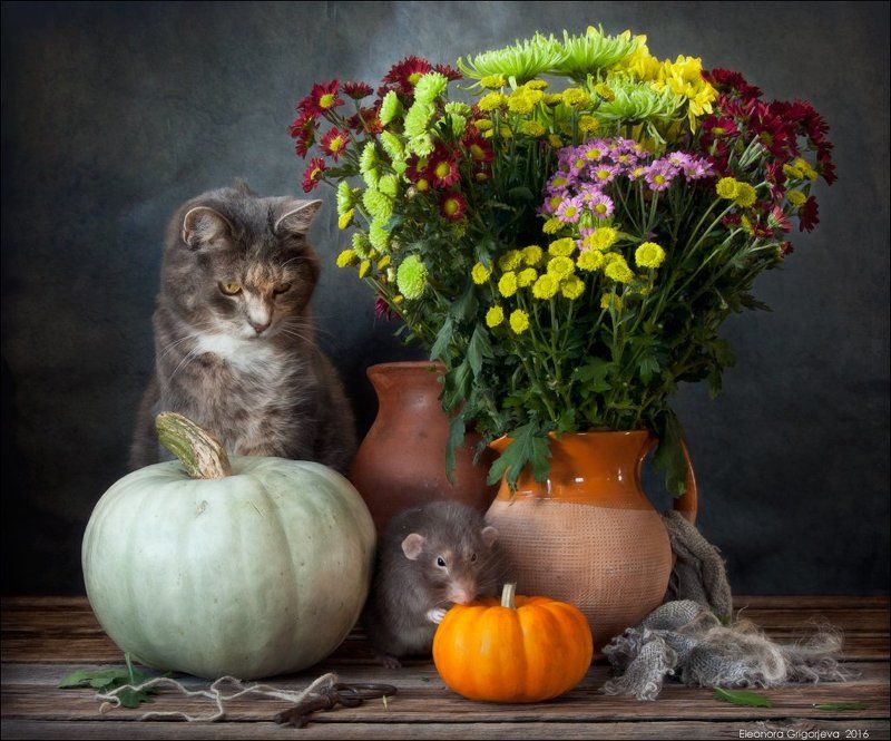 Rats\'n\'Cats, Грибы, Кошки-мышки, Крыса дамбо, Крысиные истории, Осень, Тыква, Урожай, Яблоки Крысиные истории. Осенние хлопотыphoto preview