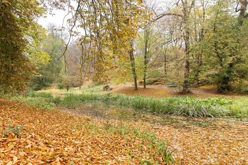 осень, парк, Умань, Софиевка, листья, ручей, скамейка В парке...photo preview