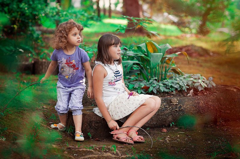 Субтропикиphoto preview