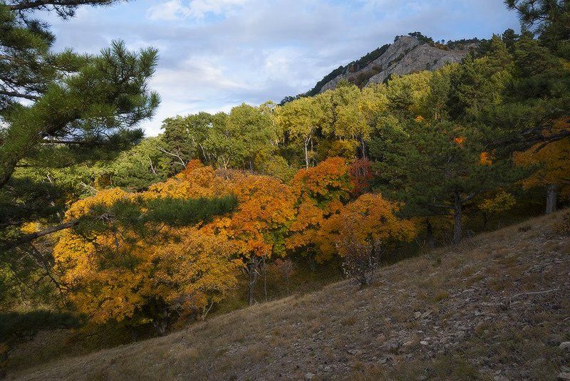 Октябрь в родных горах. photo preview