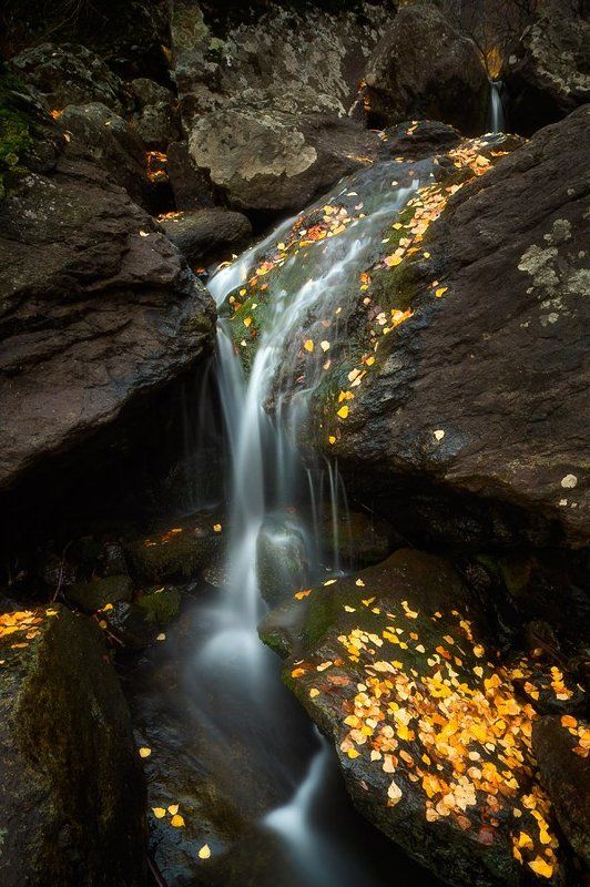 Гадельша, Башкирия, урал, уральскиегоры, осень, водопад, ручей, желтыелистья, камни photo preview
