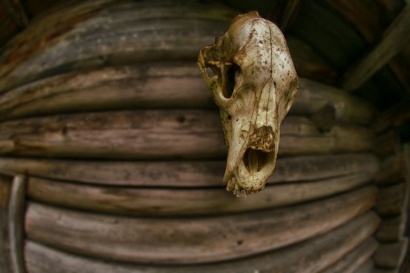 югра,кинямины юрты,река малый юган ...оберег лабазаphoto preview