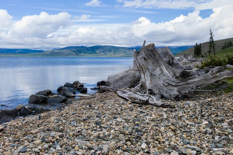 Монголия, Хубсугул озеро Хубсугул (Северная Монголия)photo preview