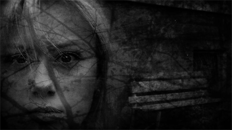 Выхухольphoto preview