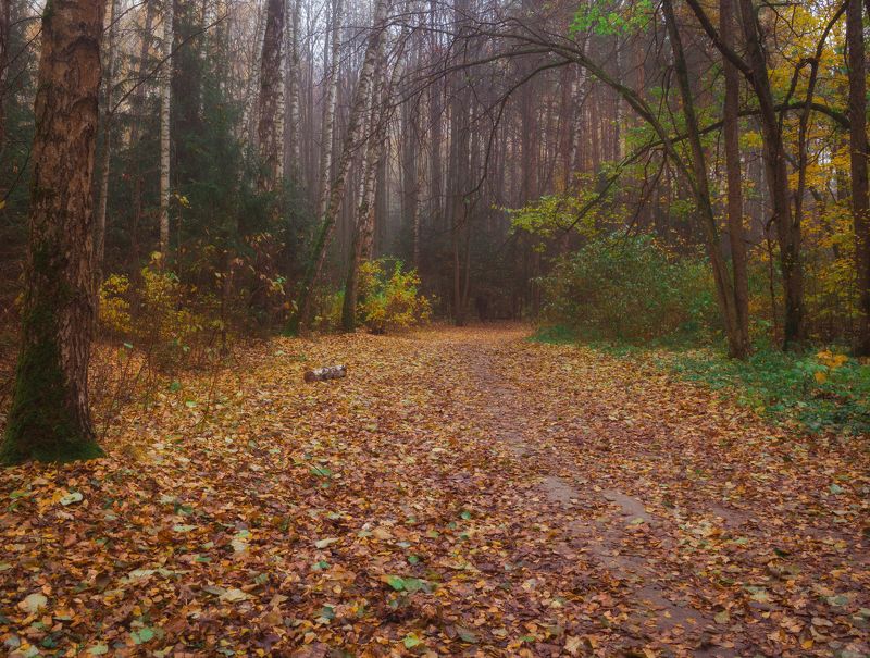 Осень Осенняя пораphoto preview