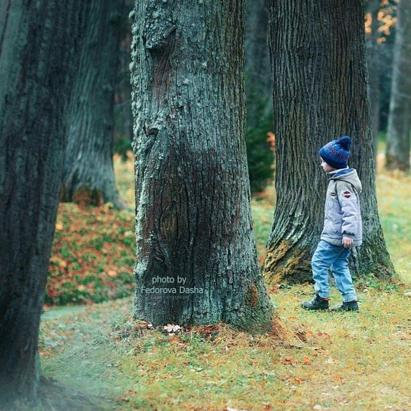 Лесной человечекphoto preview