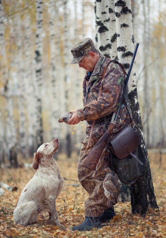 фотограф животных, саров, фотохудожник, александр_чибиркин, английский_сеттер, собаки, охота, портрет, осень Охотничья пораphoto preview