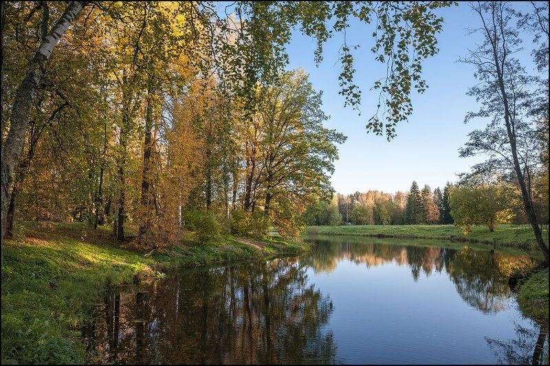 Павловск парк осень октябрь photo preview