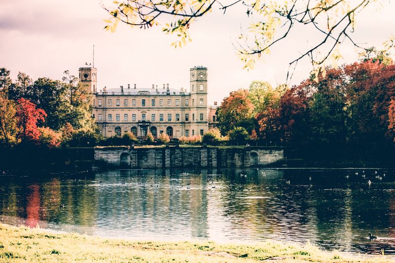 Осень в Гатчинеphoto preview