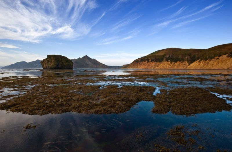 По утреннему отливуphoto preview