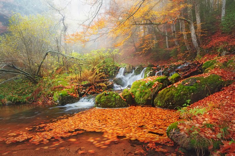 Есенноphoto preview