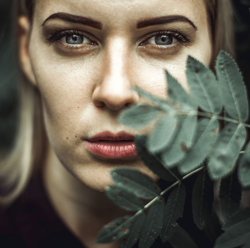 look alivephoto preview