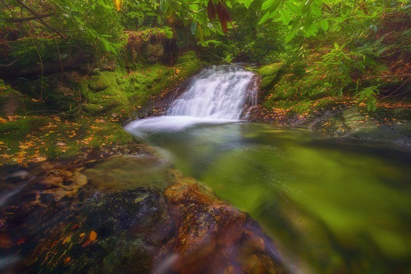 Прогулка по лесу!photo preview