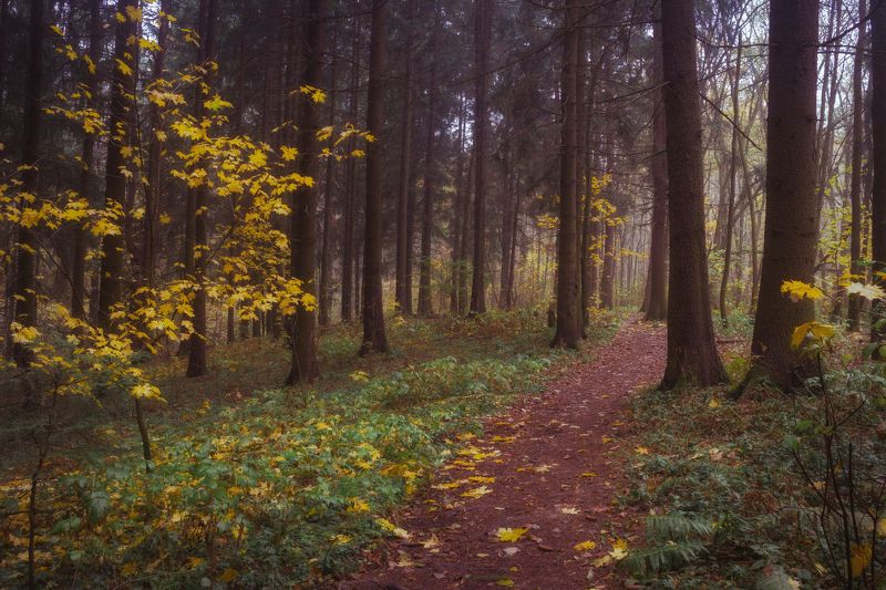 Осеньphoto preview