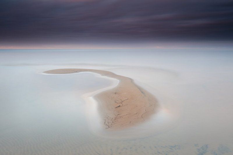 Скат \\ Batoideaphoto preview