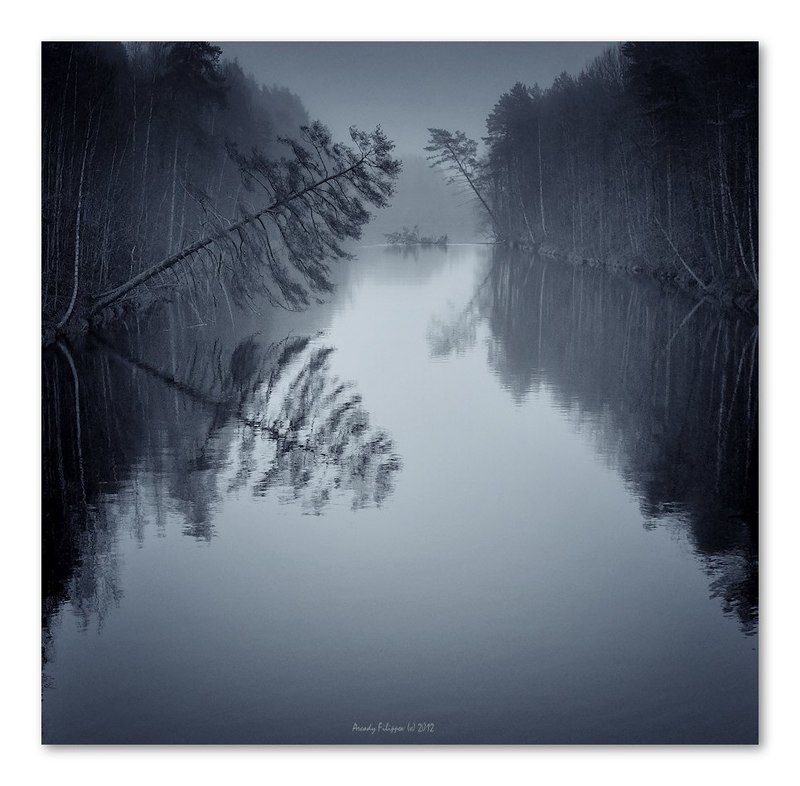 Вступительныеphoto preview