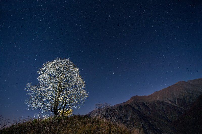 Восход луны над Лагодехиphoto preview