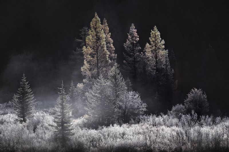 алтай, природа, пейзаж, рассвет, горы, осень Серебро утраphoto preview