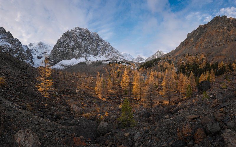 Актруphoto preview