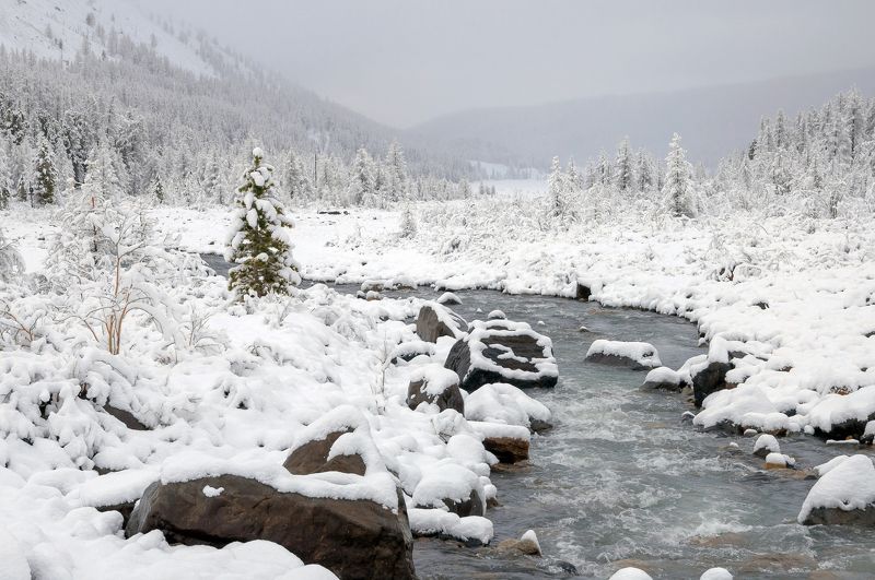 алтай, актру, зима, река, снег, горы, чистота, свежесть У вчера было лето-2photo preview