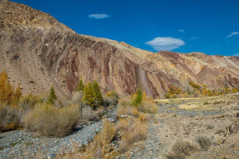 ПРО Марсphoto preview