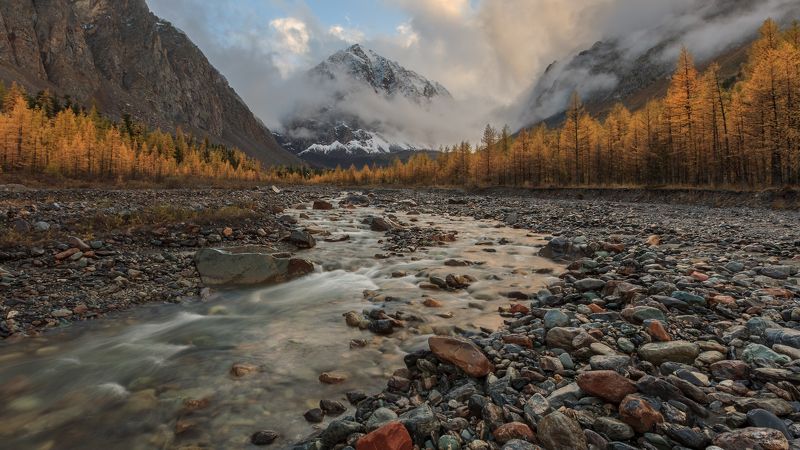 осени краски Осени краскиphoto preview
