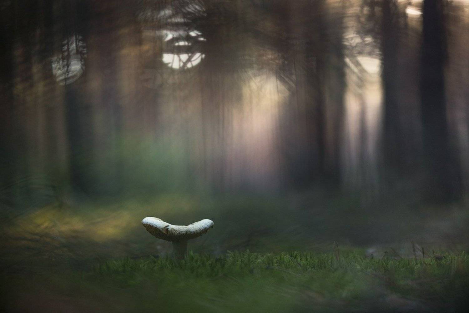 ***. Автор: Evgeny Melnikov , Evgeny Melnikov