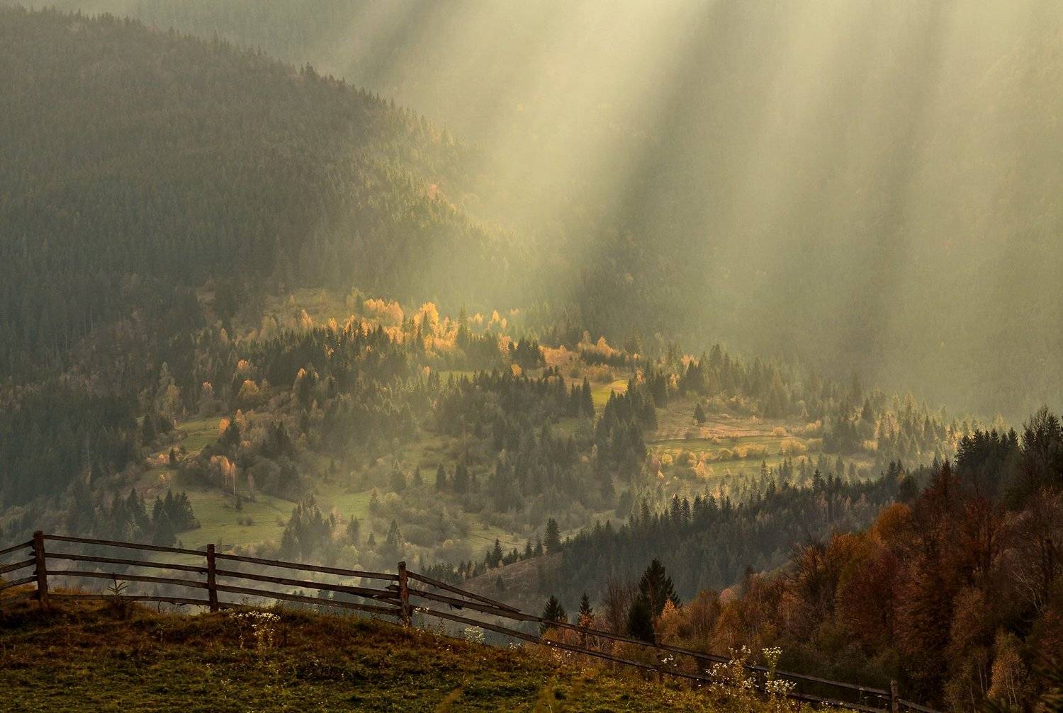 Луч солнца золотого.... Автор: Михаил Глаголев карпаты, горы, осень, солнце, луч, Михаил Глаголев