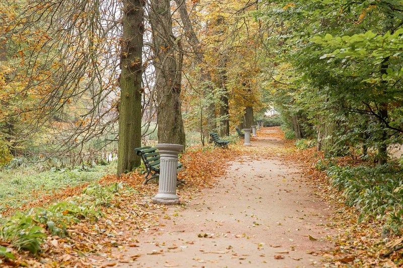 осень, парк, Умань, Софиевка, листья, скамейка, аллея Осень в паркеphoto preview