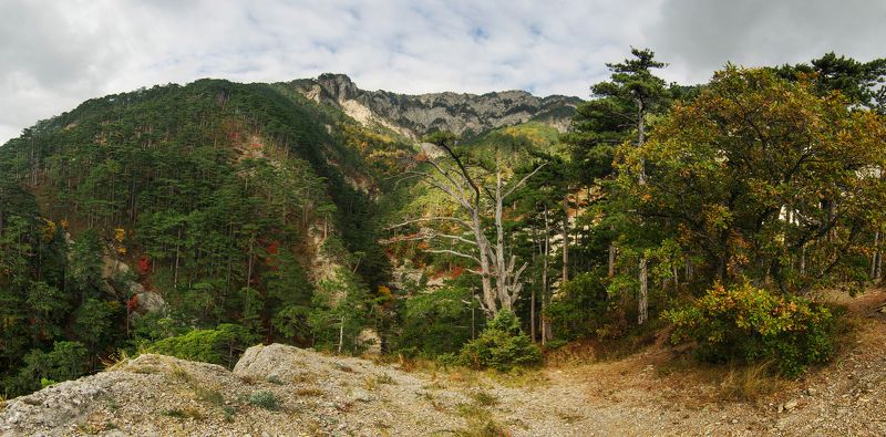 крым, горы, боткинская тропа Боткинская тропаphoto preview
