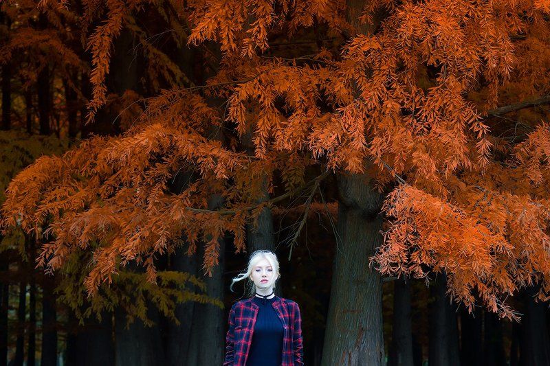 Dreamfallphoto preview